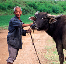 小型飼料顆粒機,農民圓夢！